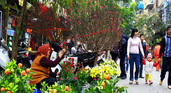 Tet Holiday in Vietnam